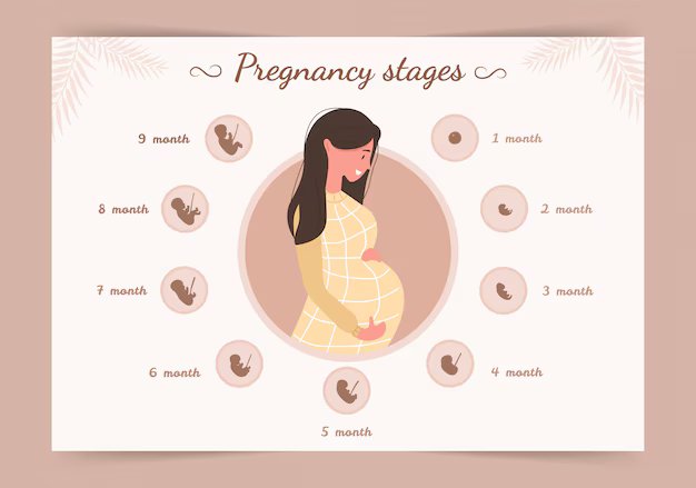 Periods Tracking